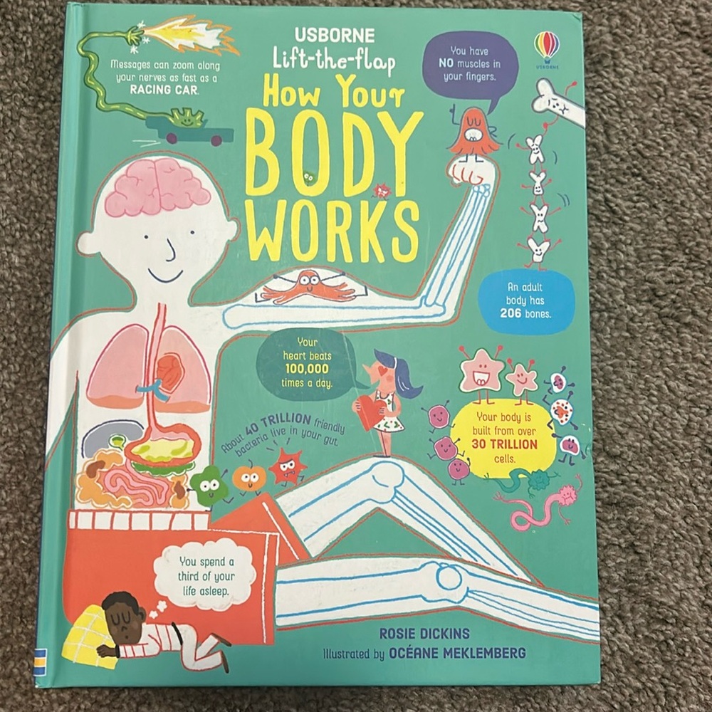 Usborne how the body works